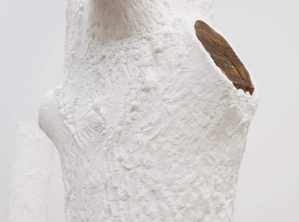Indistinti Confini (2012), Marbre blanc de Carrare, bronze, Giusepe Penone, Rétrospective au Musée de Grenoble © Photo Marion Chatel-Chaix
