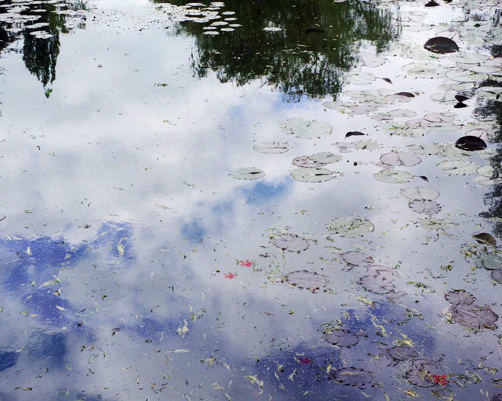 Photographie du jarin d'eau, Jardin de Monet à Giverny, Nénuphars comme des Nymphéas