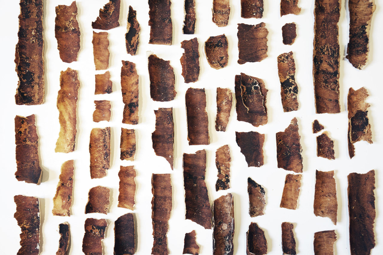 exquisite-food-design-edible-wood-skins