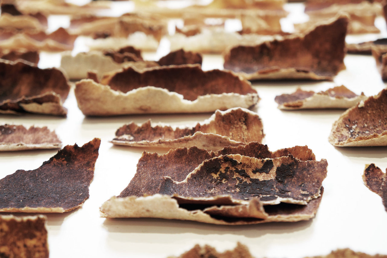exquisite-food-design-edible-wood-skins
