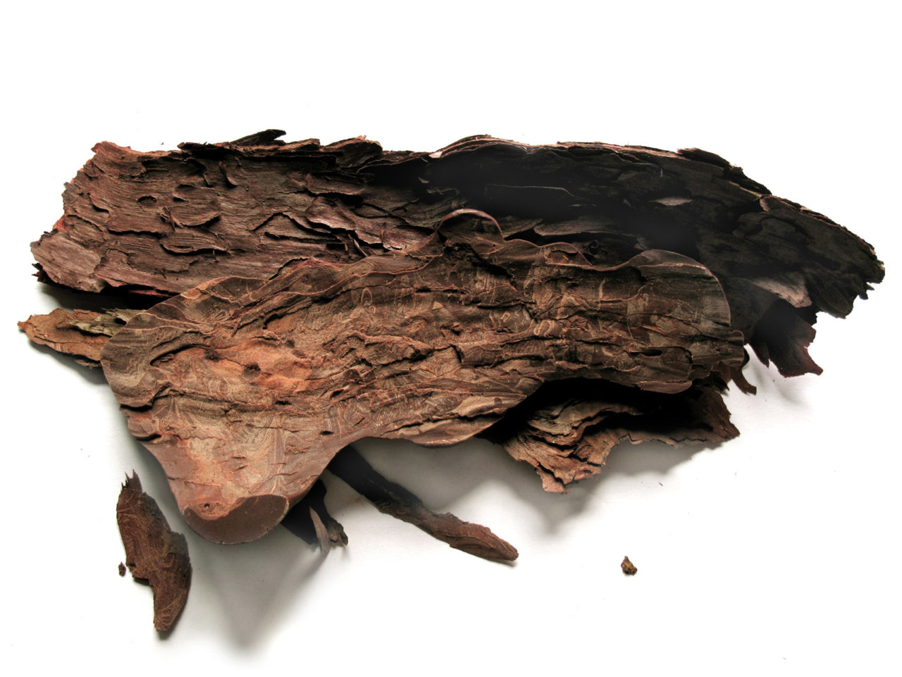 exquisite-food-design-edible-wood-skin-chocolate