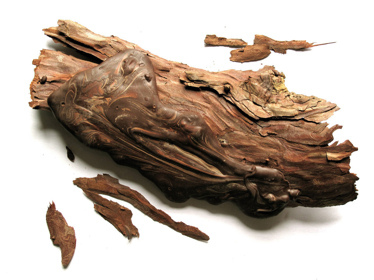 exquisite-food-design-edible-wood-skin-chocolate