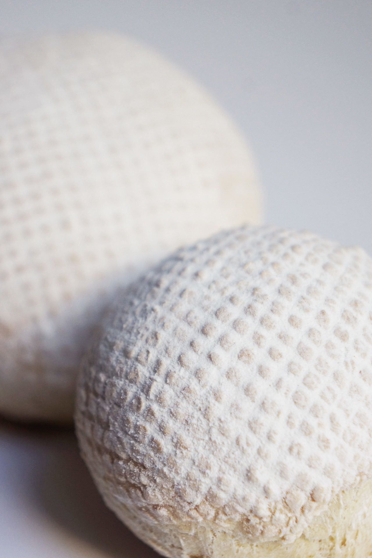 exquisite-food-design-edible-padding-pains