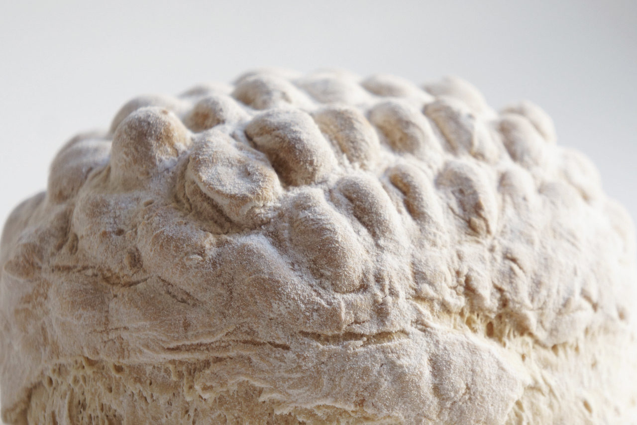 exquisite-food-design-edible-padding-pains