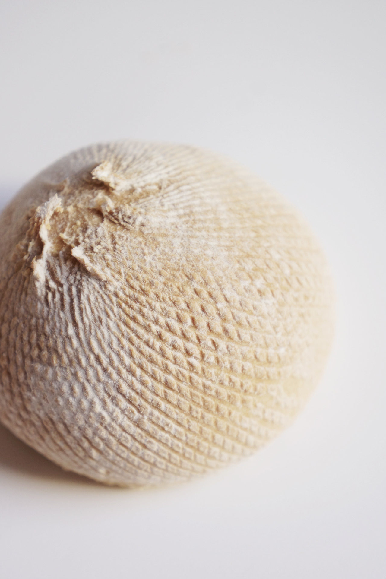 exquisite-food-design-edible-padding-pains