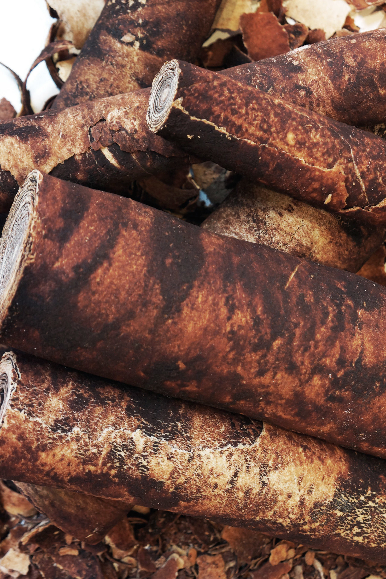 exquisite-food-design-edible-wood-buches-logs